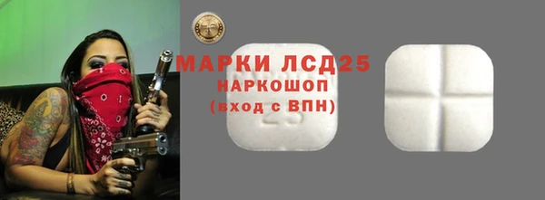 ECSTASY Бородино