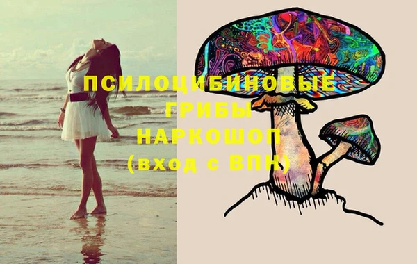 экстази Осташков
