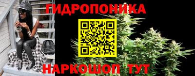 прущие грибы Балахна