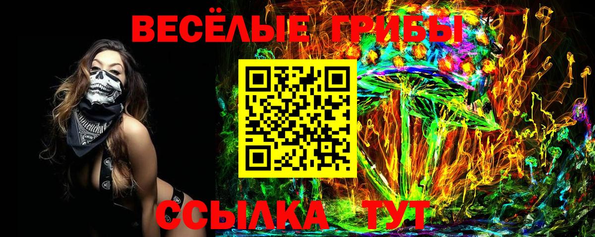 Псилоцибиновые грибы мицелий  Вход с VPN  Татарск  Галлюциногенные грибы Psilocybe 